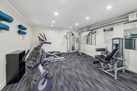 A gym with a row of treadmills and a row of exercise bikes.