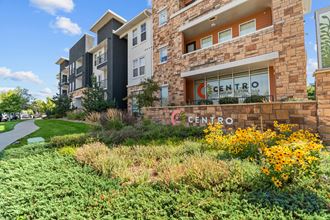 a grassy area with yellow flowers in front of an apartment building