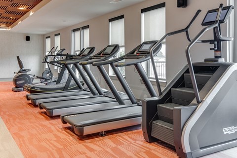 a row of treadmills in a fitness room