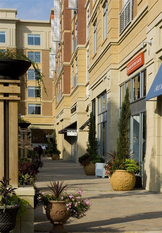 a city street with buildings and potted plants