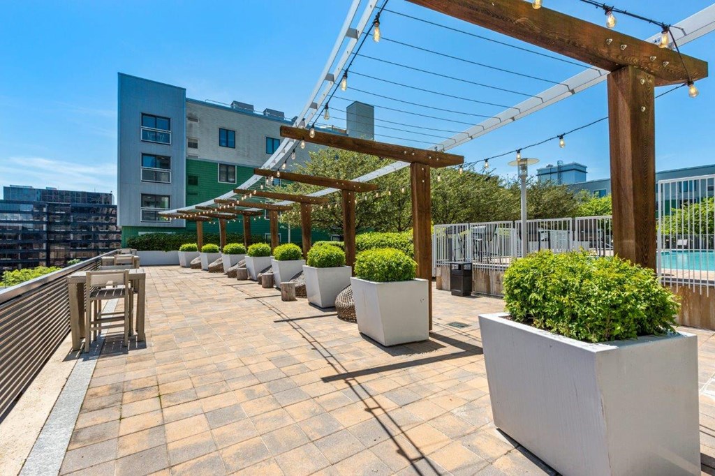A patio with a wooden pergola and potted plants.