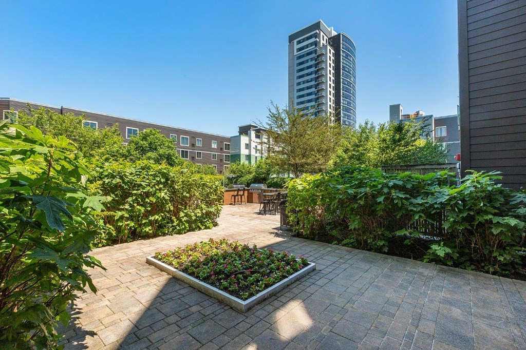A small garden with a rectangular planter in the middle of a paved area.