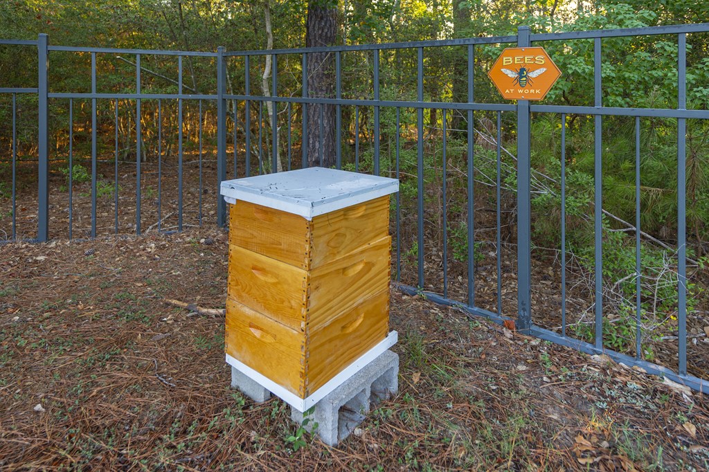 the woodlands beehive