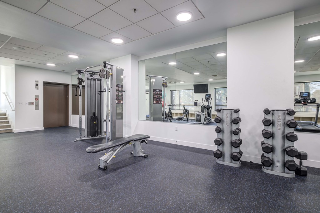 the gym at the benjamin franklin school philadelphiaadelphia pa