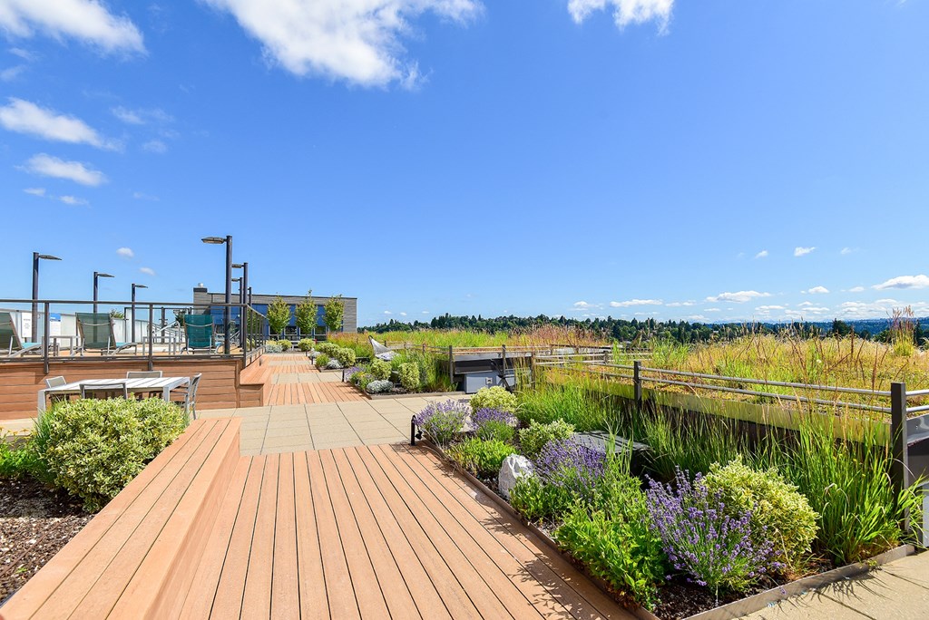 a wooden deck with plants and benches on top of a building