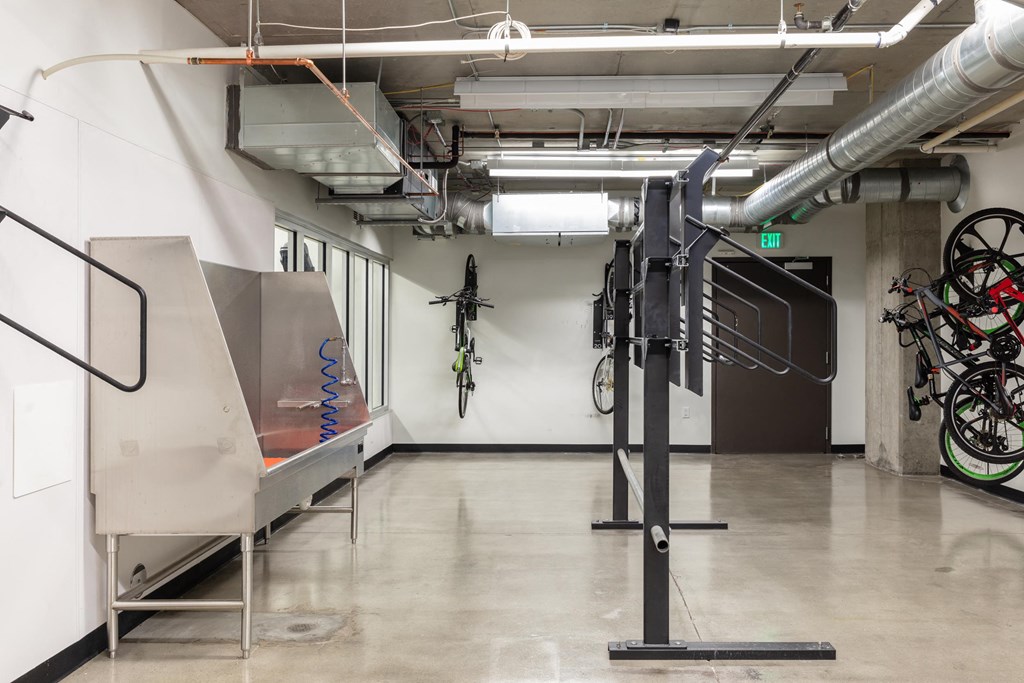 dog grooming station