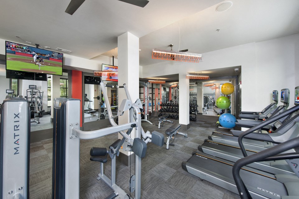 a gym with cardio machines and weights and a tv