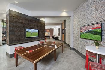 Ping Pong Table