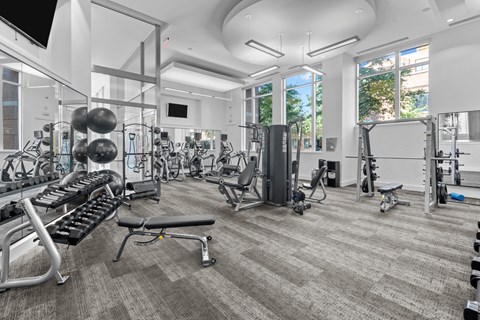 a gym with weights and cardio equipment and windows
