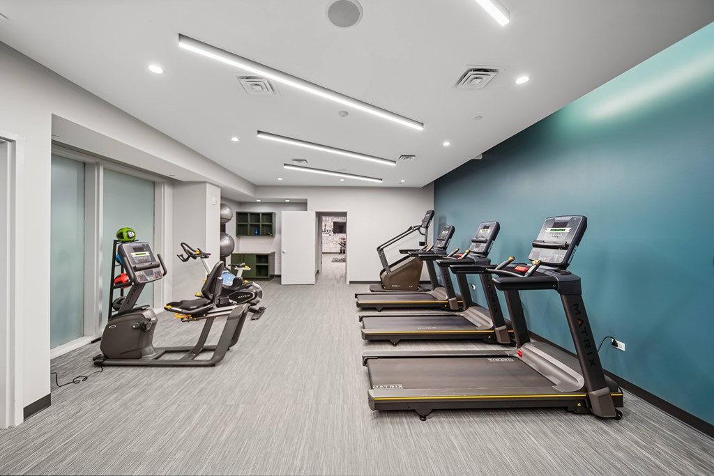 A gym with treadmills and elliptical machines.