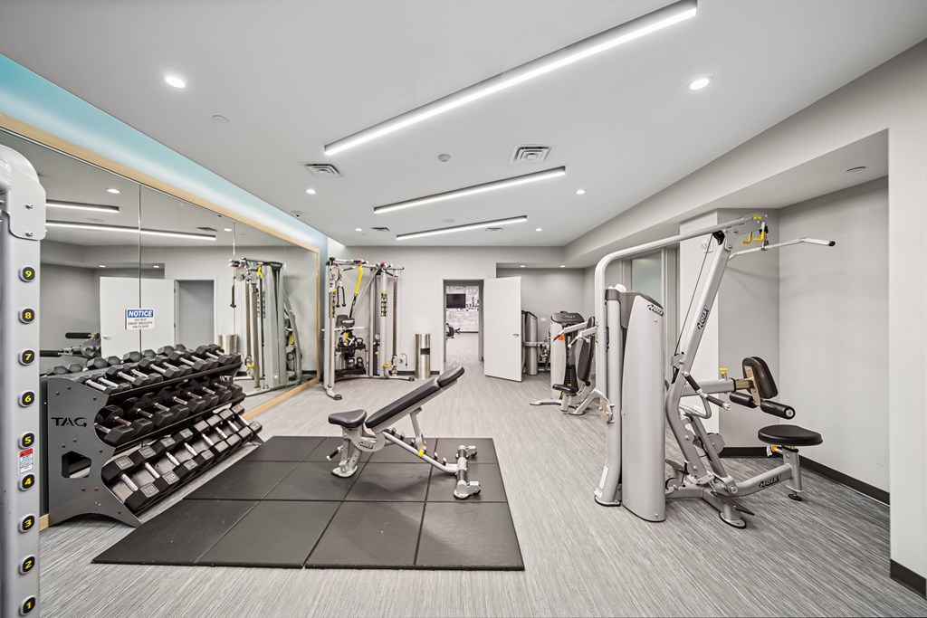 A gym with a variety of equipment including a squat rack, a bench, and a weight machine.