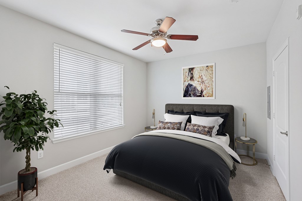 A bedroom with a bed, a ceiling fan, and a potted plant.