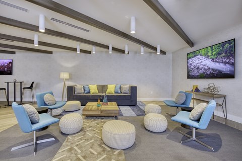 A living room with a grey carpet and blue chairs.