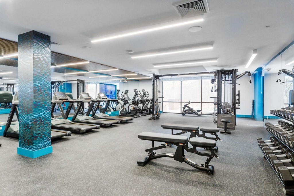 a gym with cardio equipment and weights on the floor a gym with cardio equipment and weights on the floor at One Ten Apartments, New Jersey, 07310