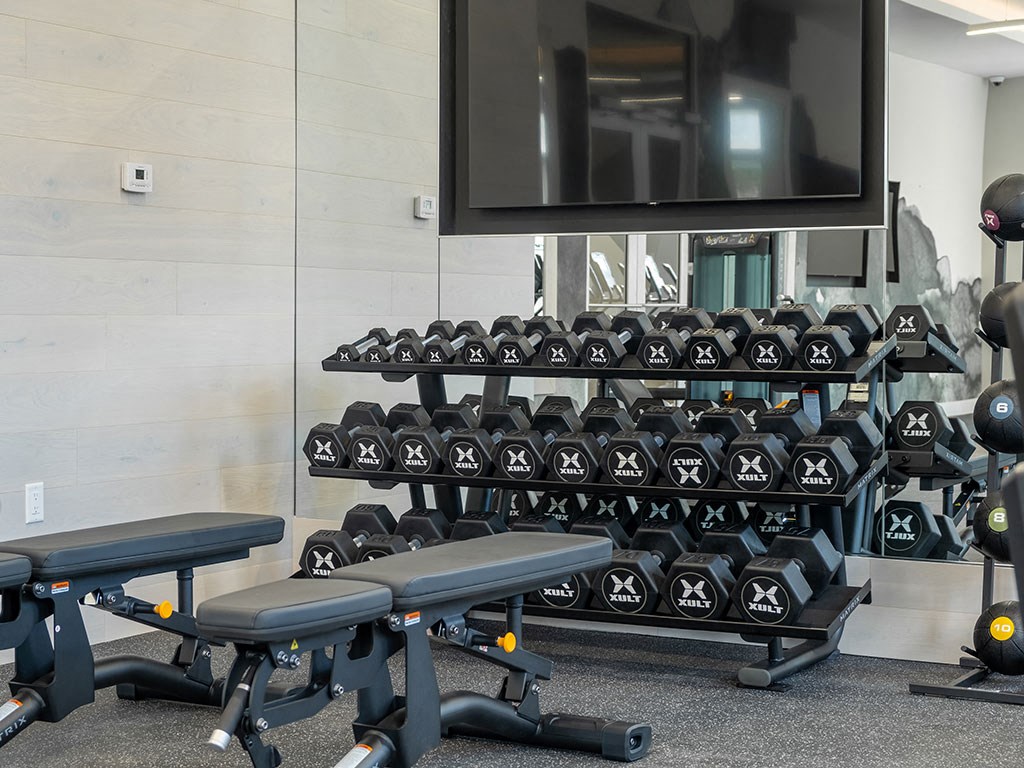 Free Weights In Gym at The Grove at Piscataway, New Jersey, 08854