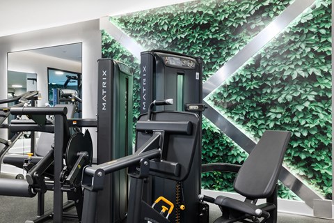 a wall of green plants and exercise equipment in a gym at The Ivy, Chatham, NJ 07928