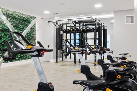 Fitness Center at The Ivy, New Jersey