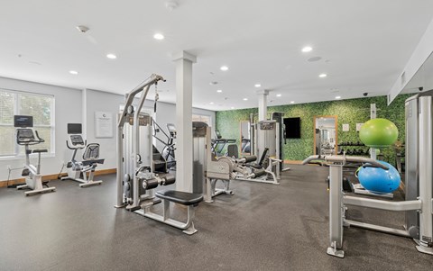 A gym with a variety of equipment including a leg press machine, a chest press machine, a leg curl machine, a leg extension machine, a seated calf raise machine, a leg raise machine, a chest press machine, a