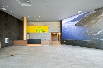 Impressive Lobby - Photo Gallery 17