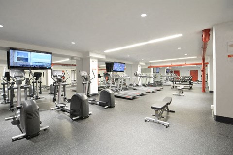 the gym is equipped with state of the art gym equipment