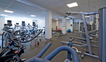 a room filled with cardio equipment and weights