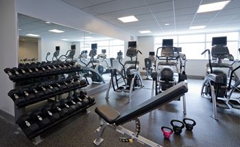 a room filled with cardio equipment and weights