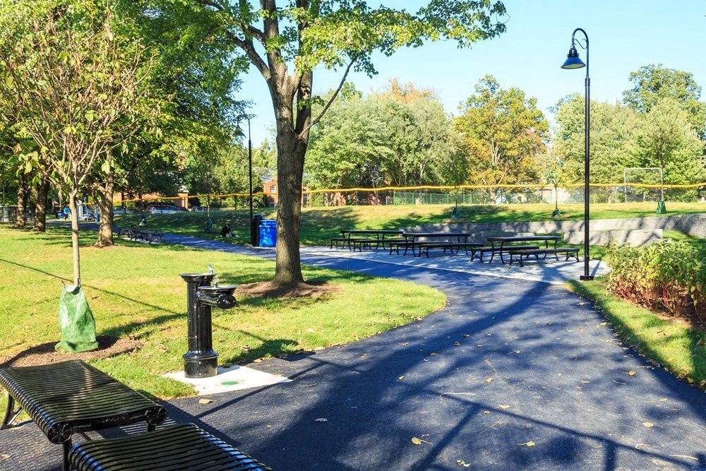 a path in a park with benches and trees