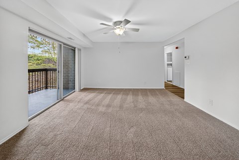 The Forest Apartments