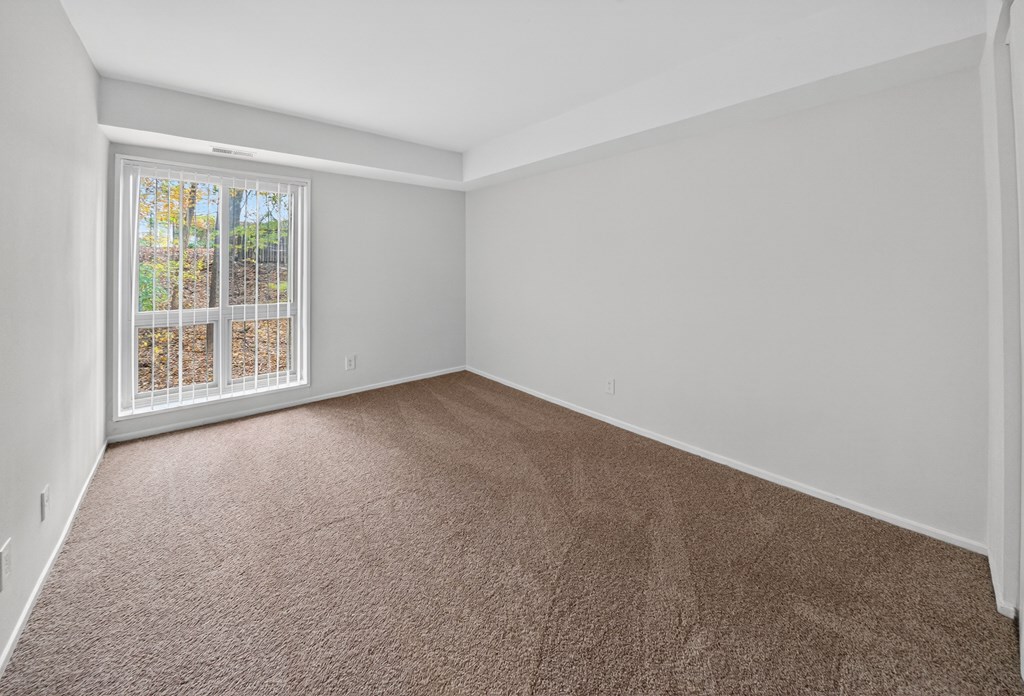 A room with brown carpet and a window with a view of trees.