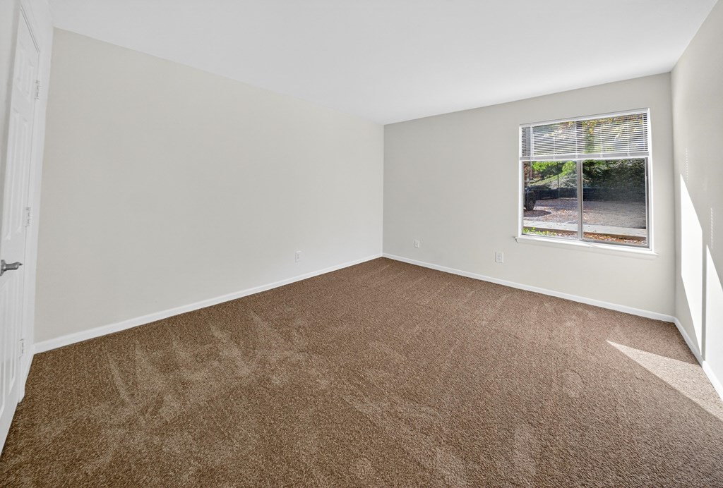 A room with a carpeted floor and a window showing a view of a street.