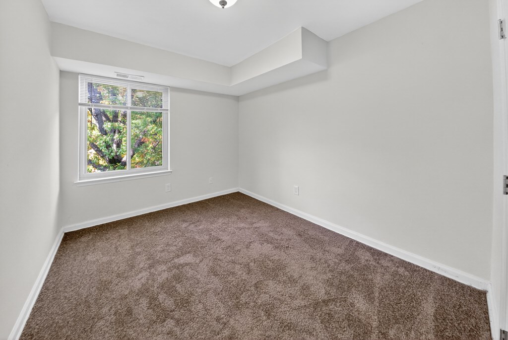 A room with a carpeted floor and a window showing trees outside.