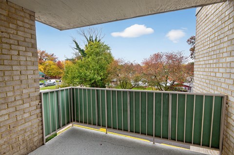 A view from a balcony looking out at a tree-lined street.