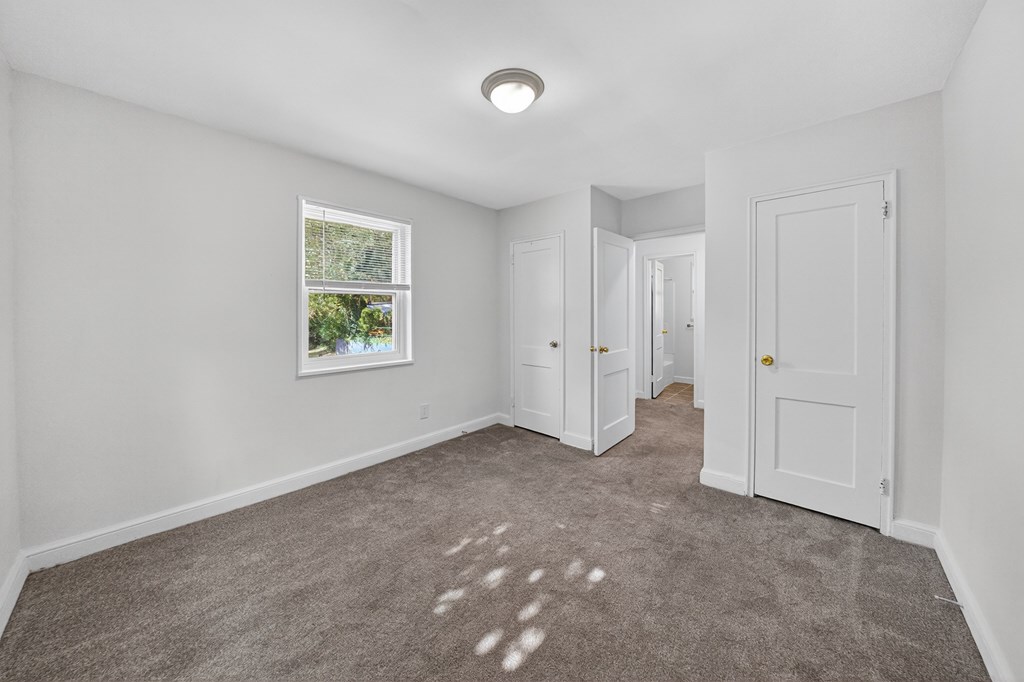 A room with a carpeted floor and a window showing a garden outside.