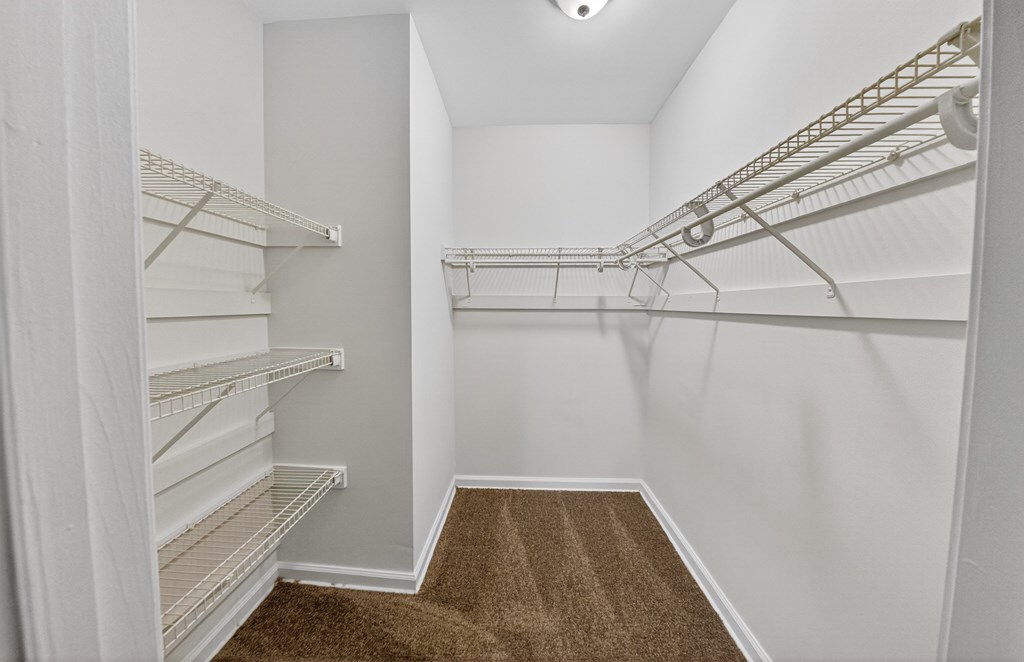 A walk-in closet with white shelving and a brown carpet.