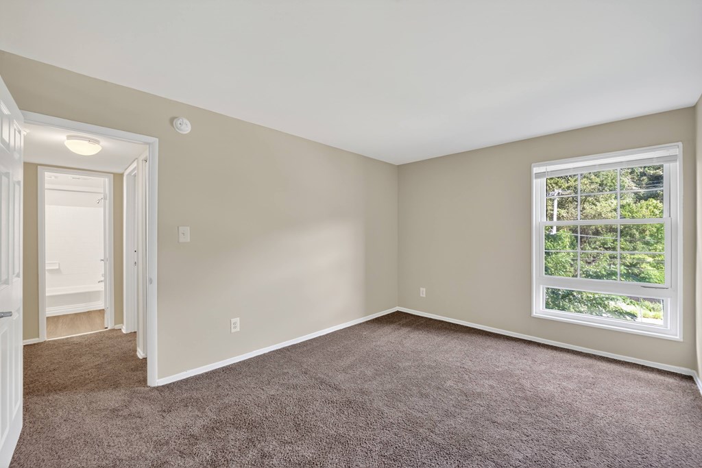 A room with a carpeted floor and a window showing trees outside.