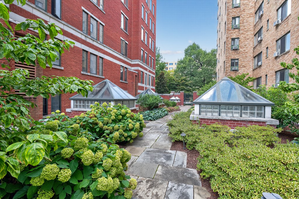 A garden with a green bush and a building in the background.