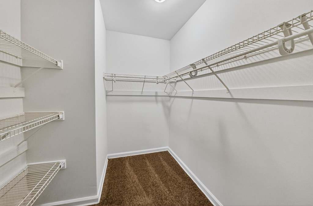 A walk-in closet with white shelving and a brown carpet.