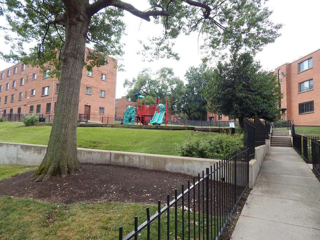 A tree in a small garden in front of a building.
