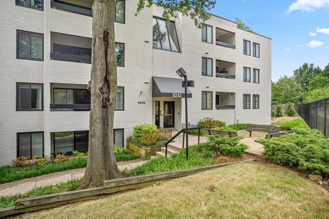 a white apartment building with a tree in front of it