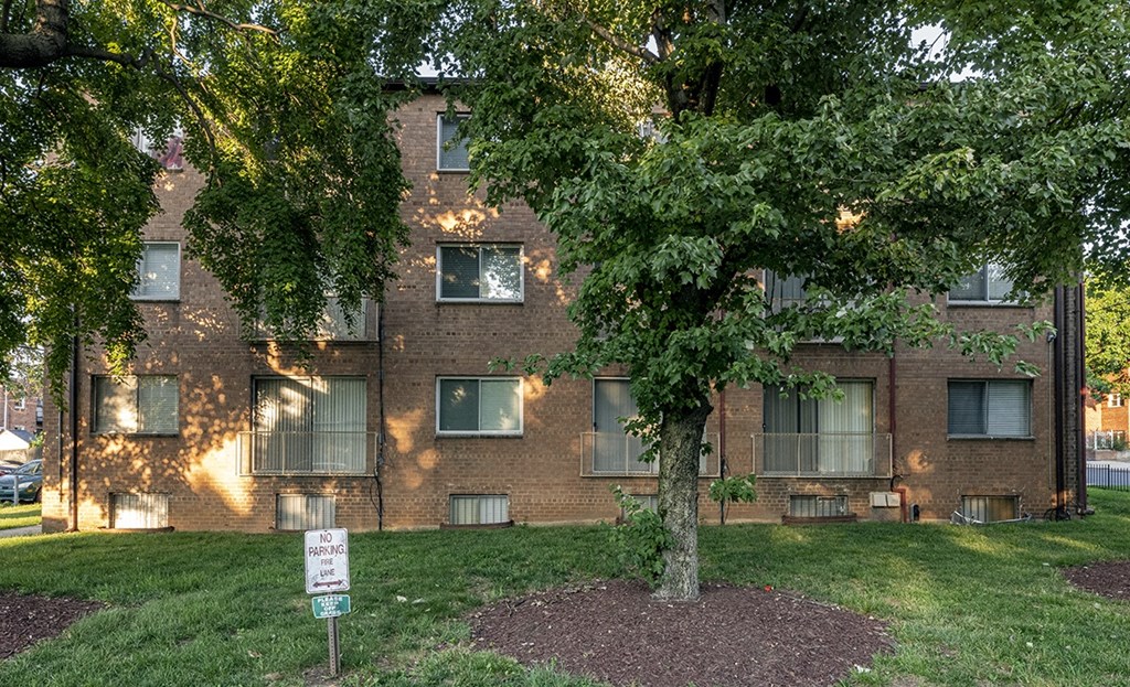 an apartment building with a tree in front of it