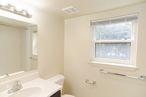 a bathroom with a sink and a mirror and a window