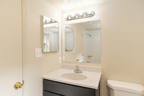 a bathroom with a sink and mirror and a toilet