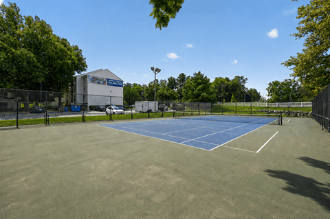 A tennis court surrounded by a fence and trees.
