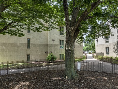 a tree in front of an apartment building