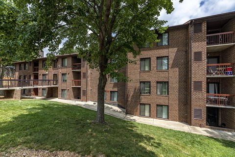 our apartments are located in a quiet area with a tree