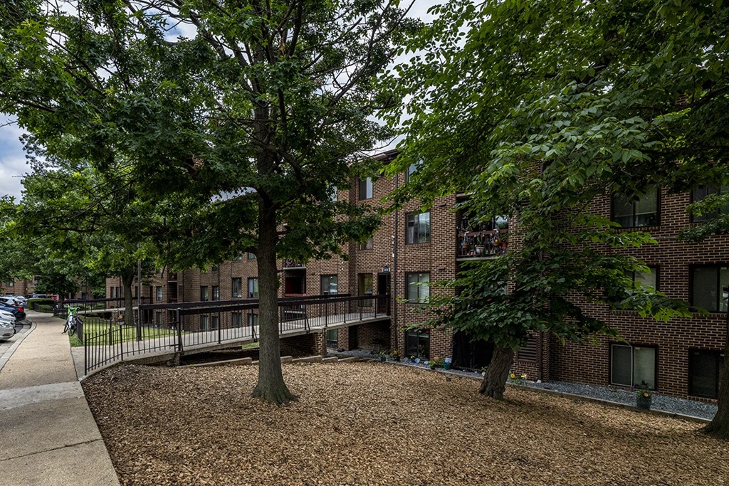 our apartments are located in a quiet area with trees