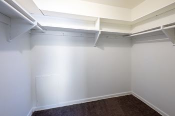 a room with white walls and white shelves and a carpet
