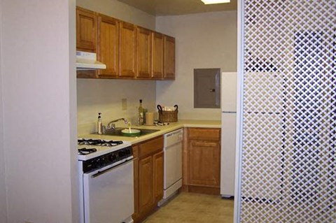 a kitchen with a stove and a refrigerator