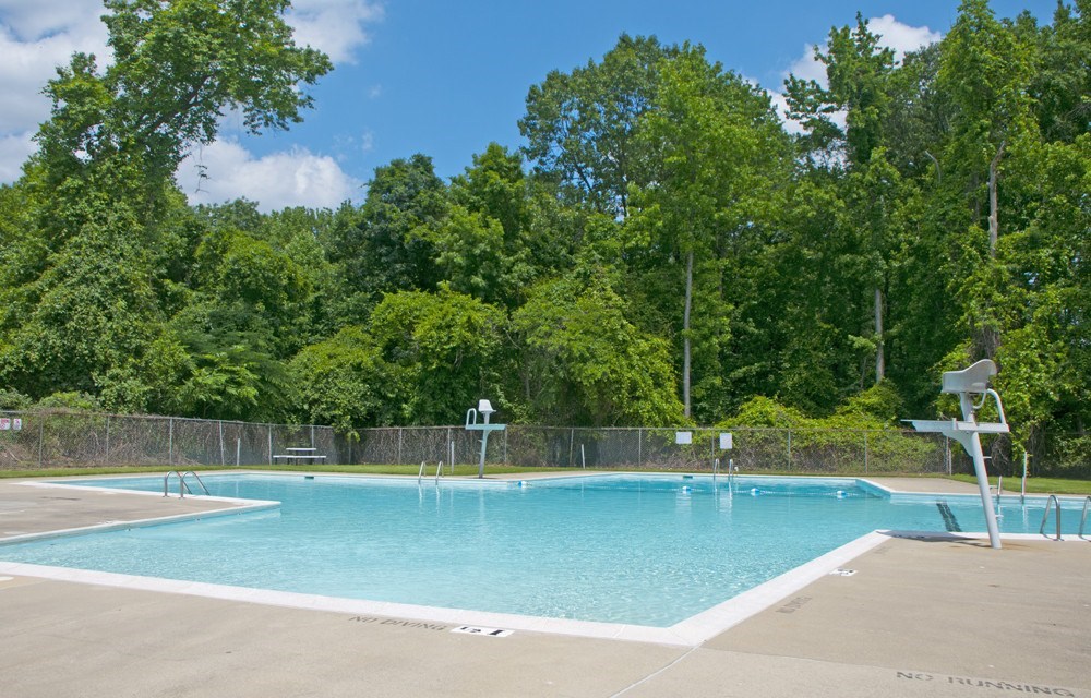 A large swimming pool surrounded by a fence and trees.
