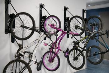 A collection of bicycles are hanging on a wall.